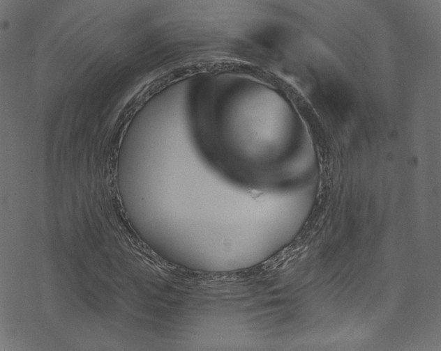 X0000074340823200608251348