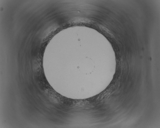 X0000074340824200608251348