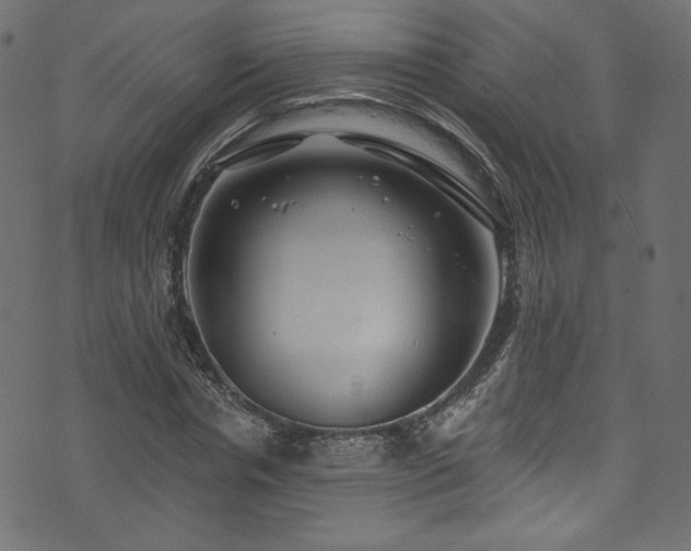 X0000074340826200608251348