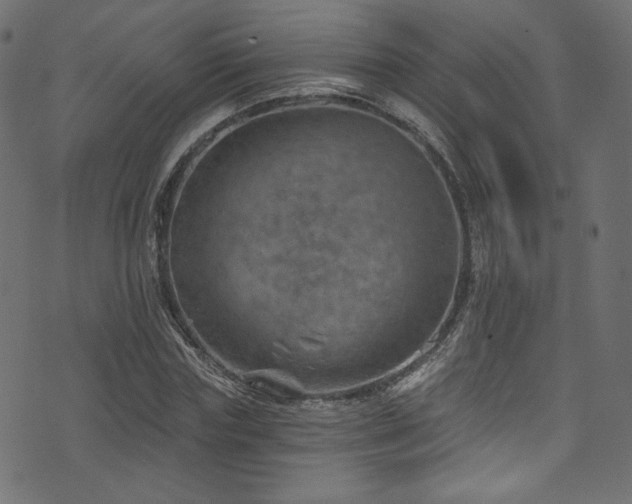 X0000074340827200608251348