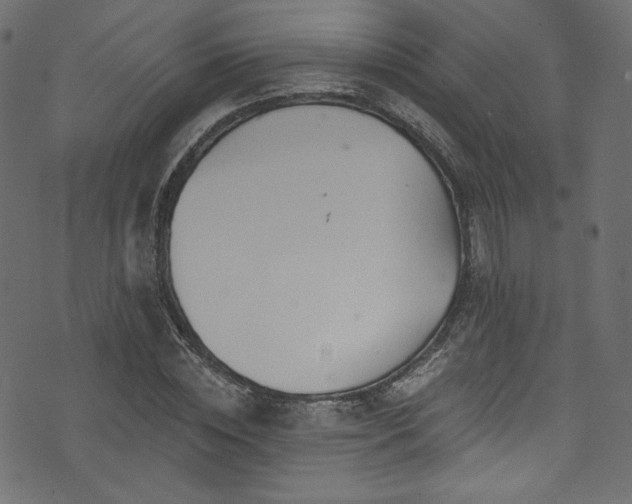 X0000074340828200608251348