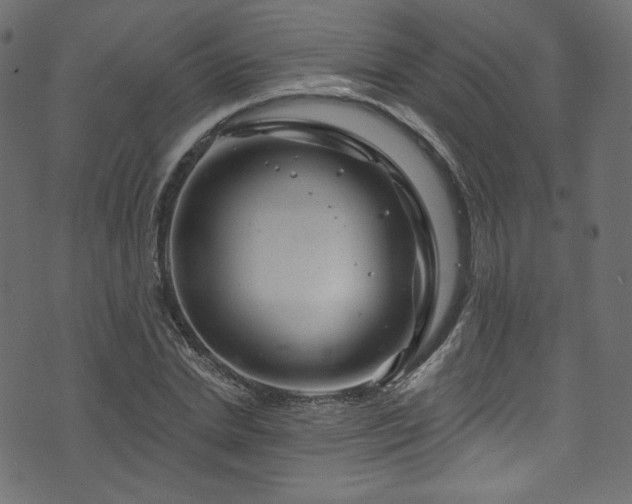 X0000074340830200608251349