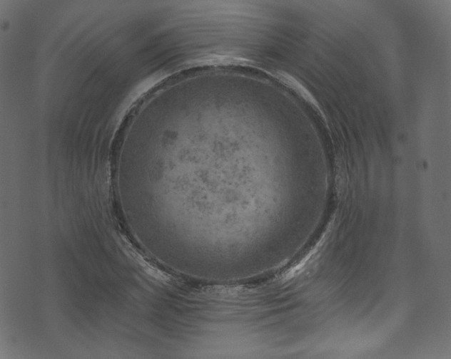 X0000074340831200608251349