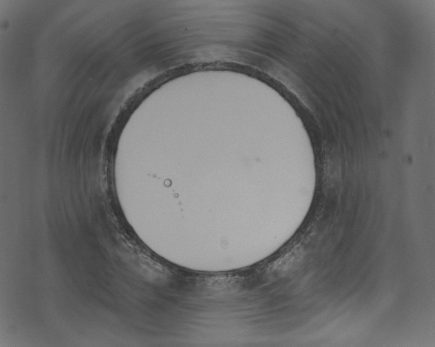 X0000074340832200608251349