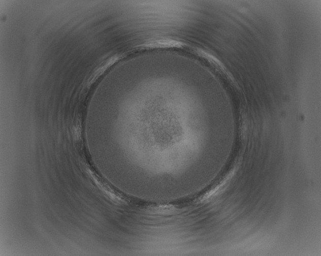 X0000074340833200608251349