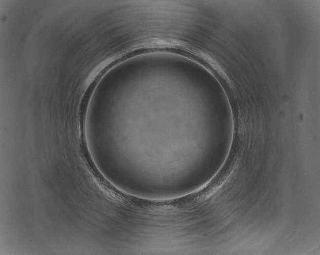 X0000074340837200608251349