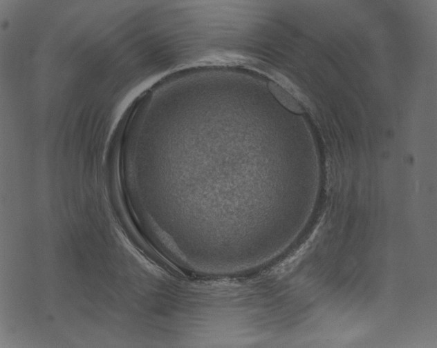 X0000074340838200608251349