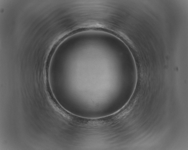 X0000074340840200608251349