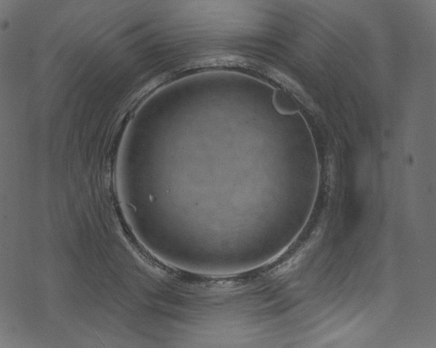 X0000074340841200608251349