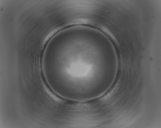 X0000074340842200608251349