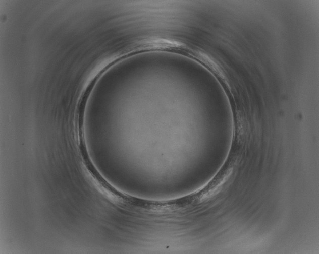 X0000074340843200608251349