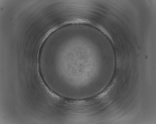 X0000074340845200608251349