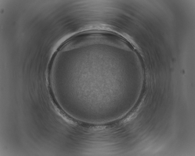 X0000074340846200608251349