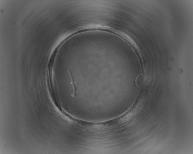 X0000074340847200608251349