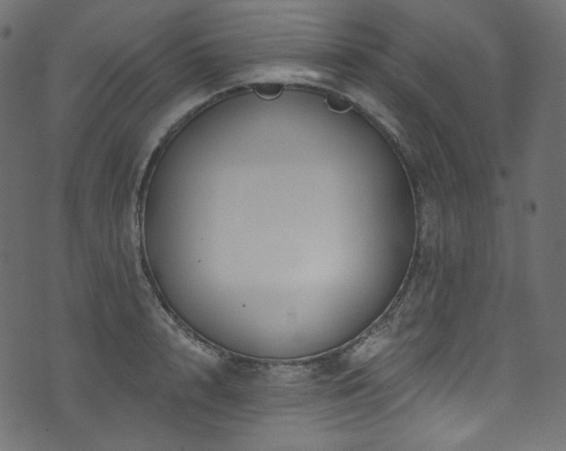 X0000074340848200608251349