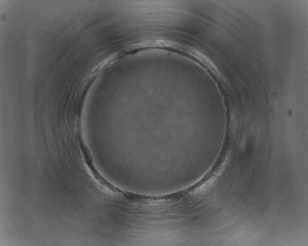 X0000074340849200608251349