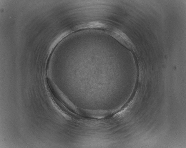 X0000074340850200608251349