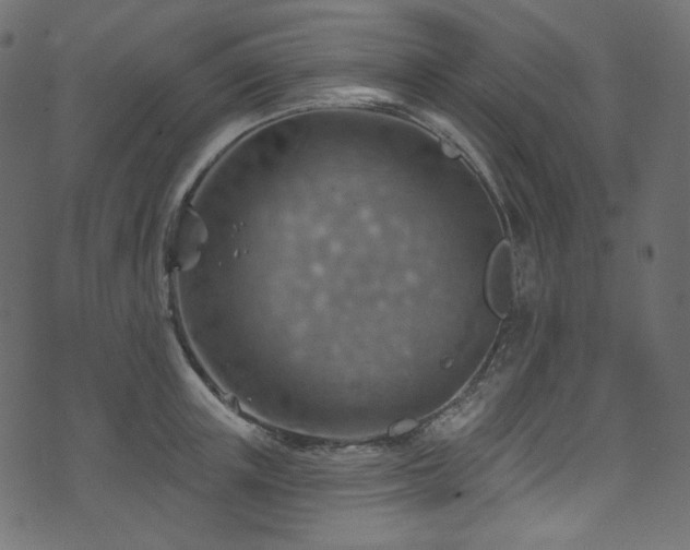 X0000074340851200608251349