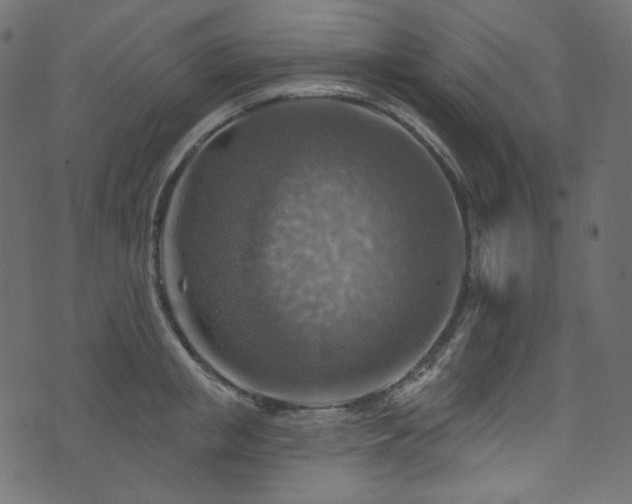 X0000074340853200608251349