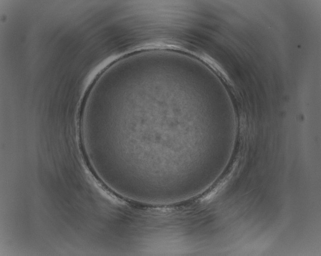 X0000074340854200608251349