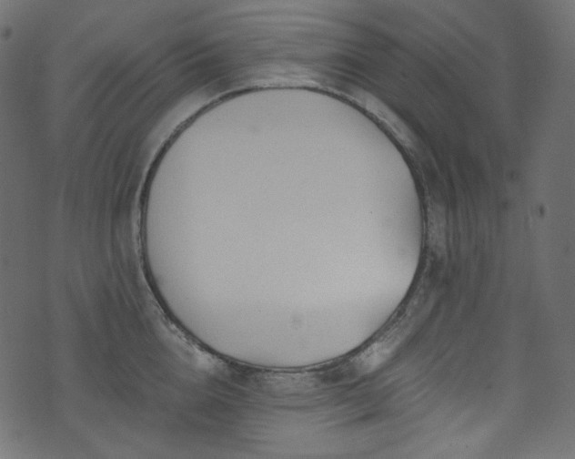 X0000074340856200608251349