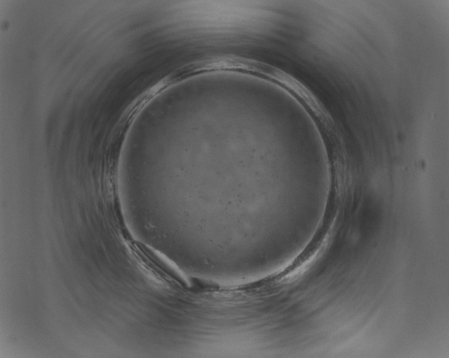 X0000074340857200608251349