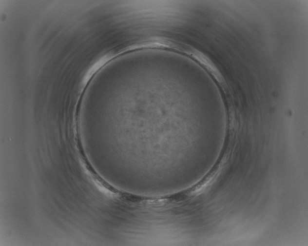 X0000074340858200608251349