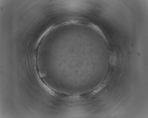 X0000074340859200608251349