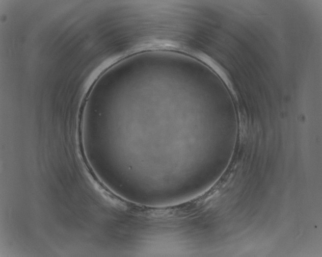 X0000074340861200608251349