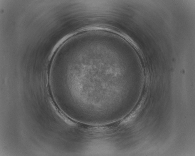 X0000074340862200608251349