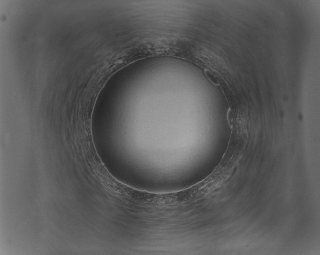 X0000074340865200608251348