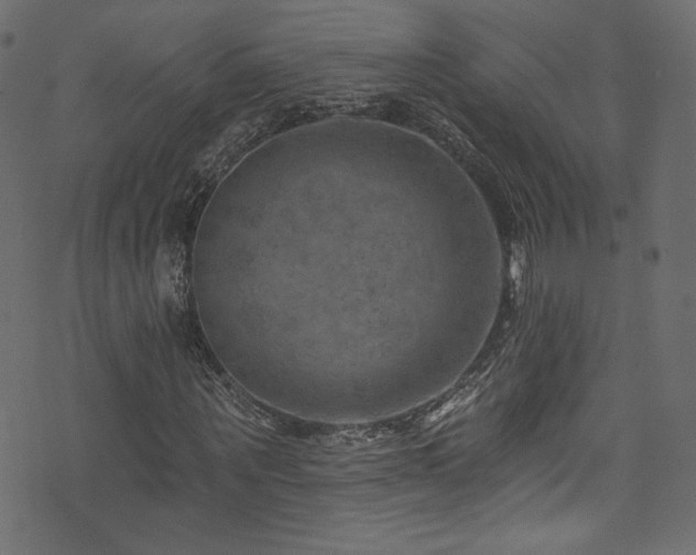 X0000074340867200608251348