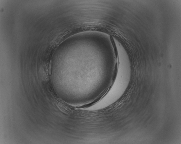 X0000074340868200608251348