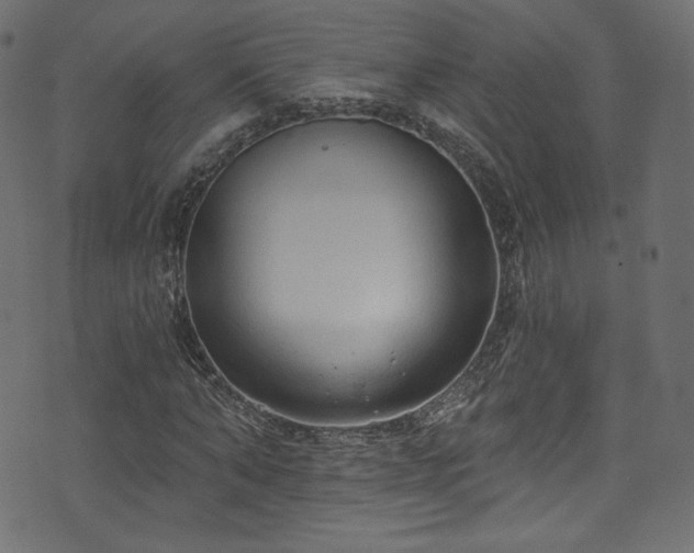 X0000074340870200608251348