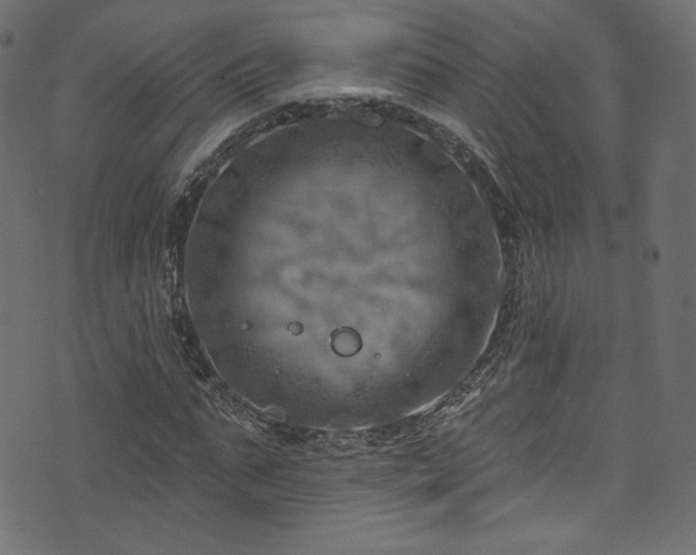 X0000074340871200608251348