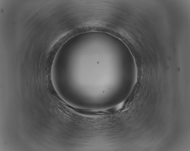 X0000074340872200608251348