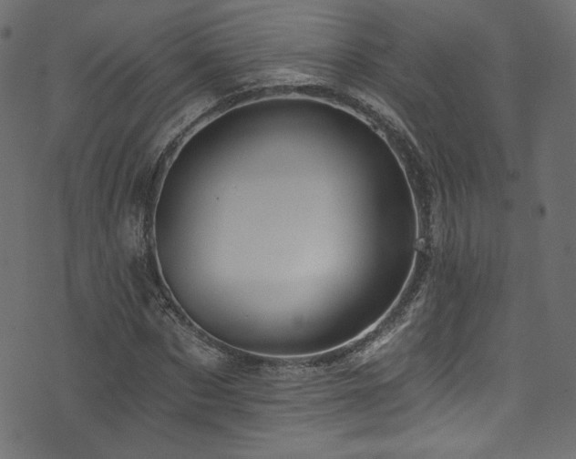 X0000074340873200608251348