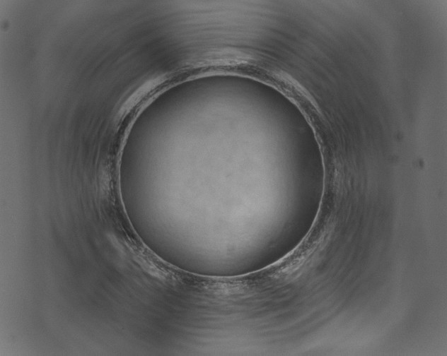 X0000074340874200608251348