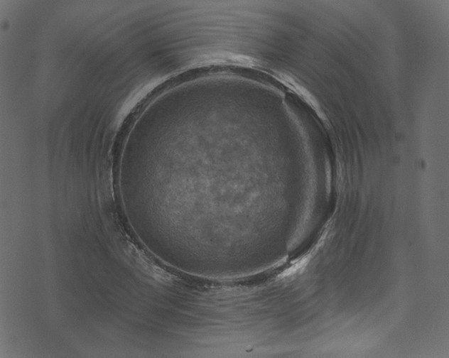 X0000074340877200608251348