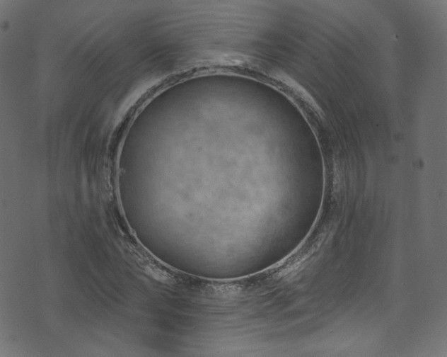 X0000074340878200608251348