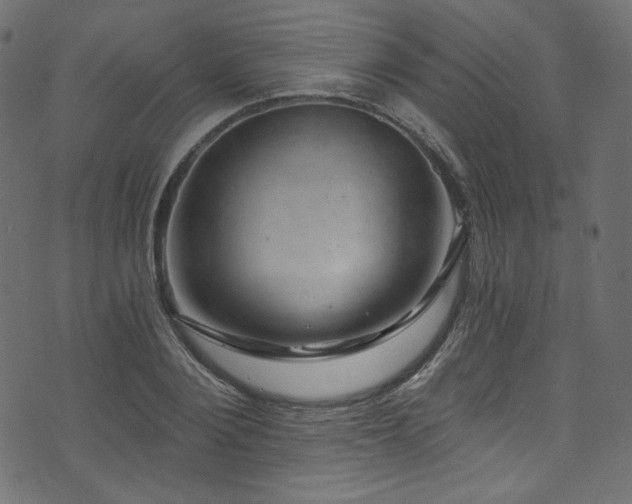 X0000074340884200608251348