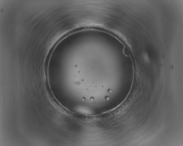 X0000074340887200608251348