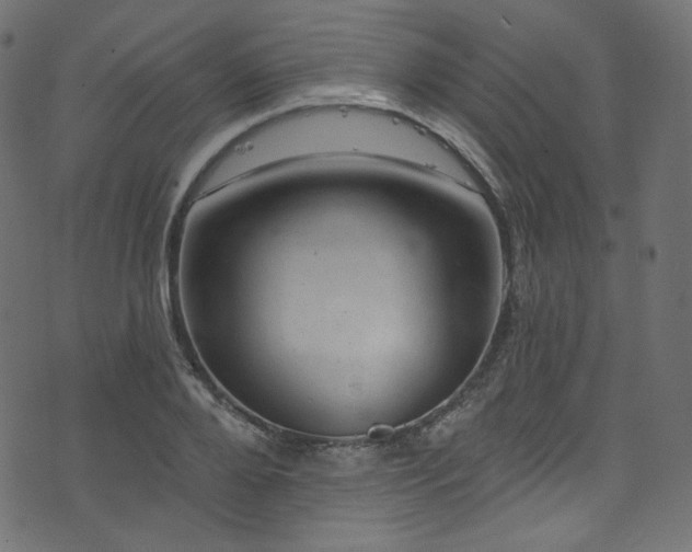 X0000074340888200608251348