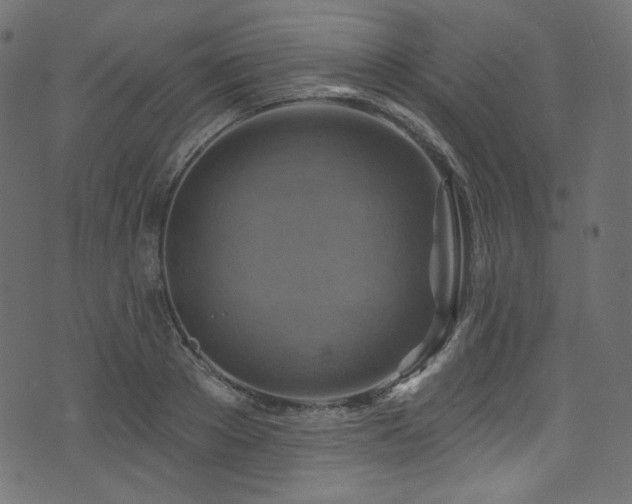 X0000074340889200608251348