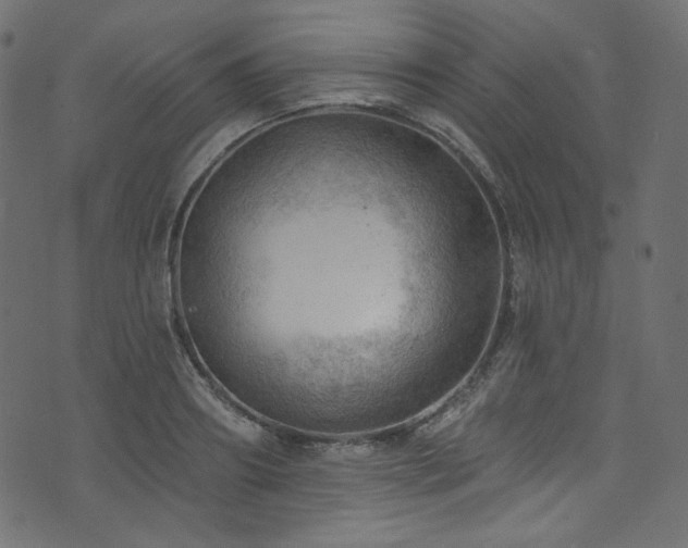 X0000074340890200608251348