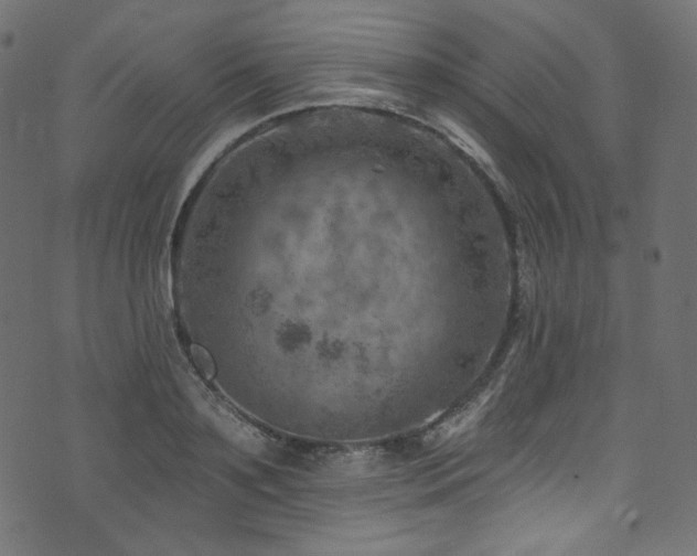 X0000074340891200608251348