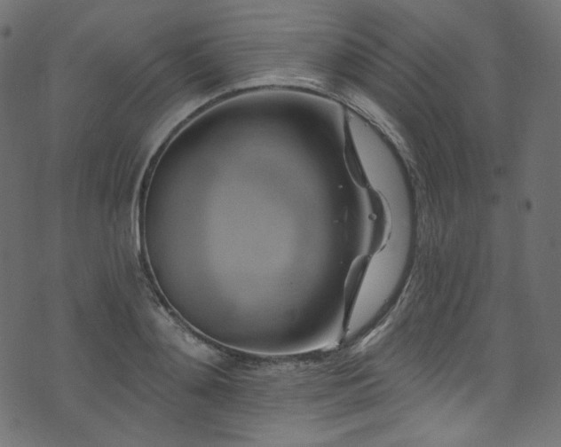 X0000074340892200608251348