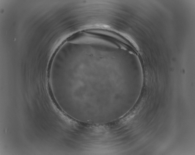 X0000074340895200608251348