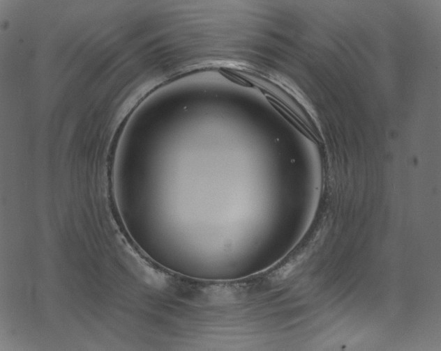 X0000074340898200608251348