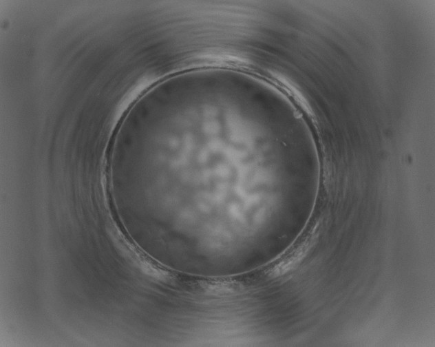 X0000074340899200608251348